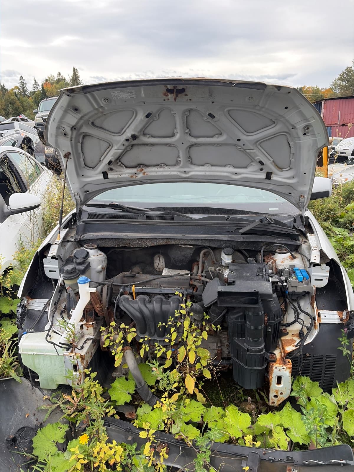 Kia Soul 2010, vue avant