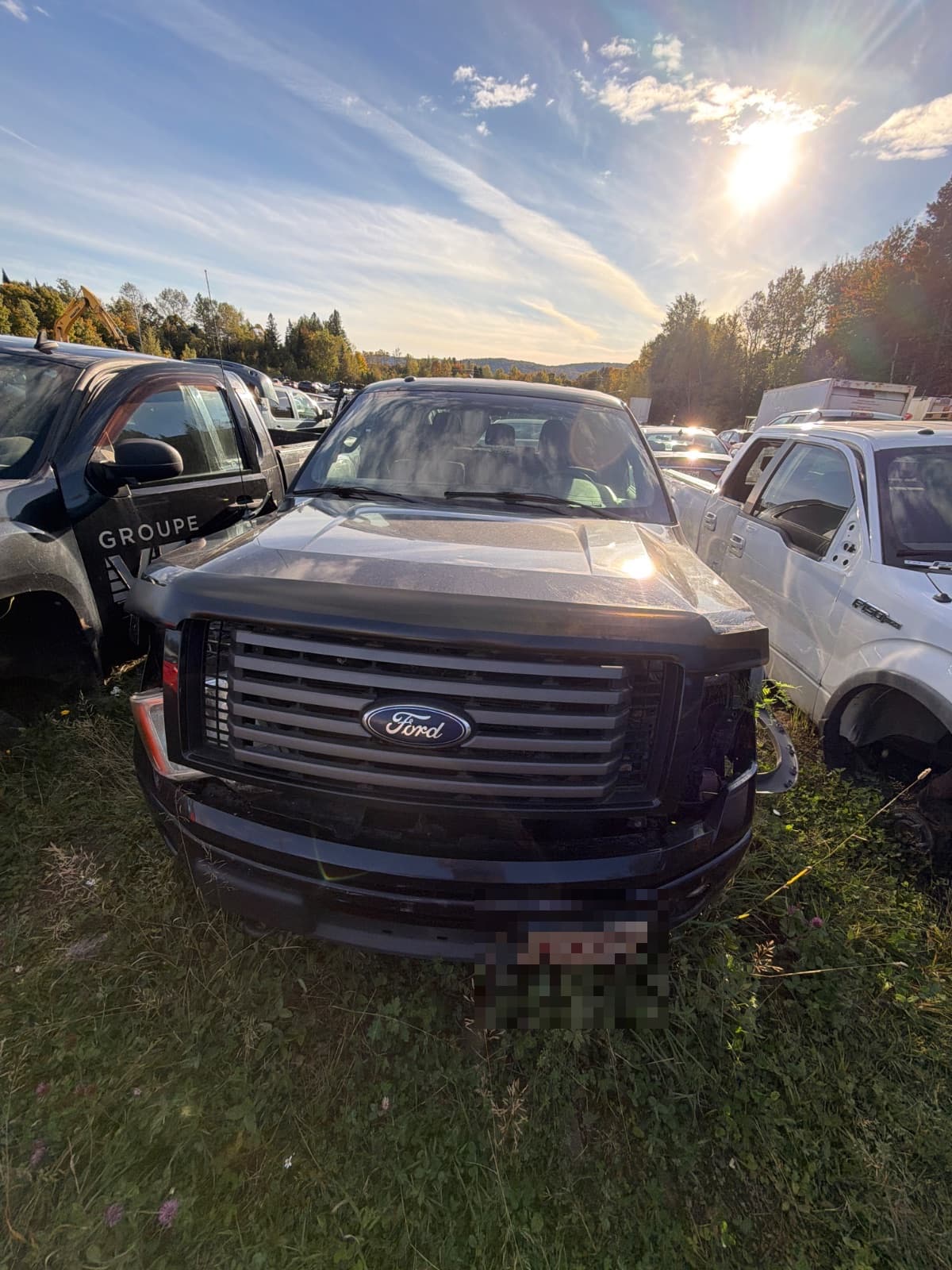 Ford F-150 2012, vue avant