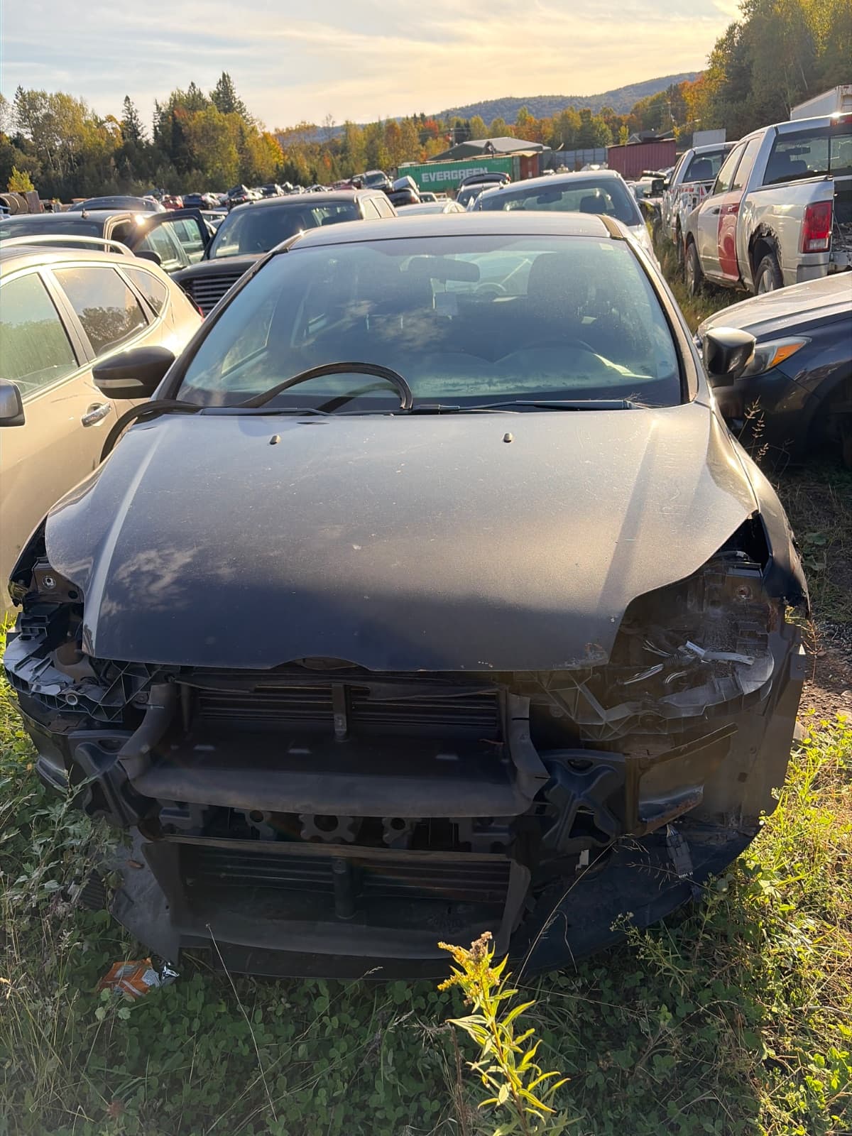 Ford Focus 2012, vue avant