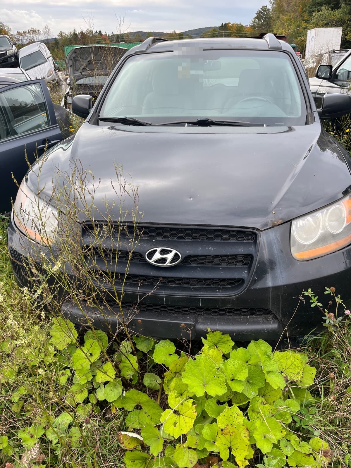 Hyundai Santa Fe 2009, vue avant
