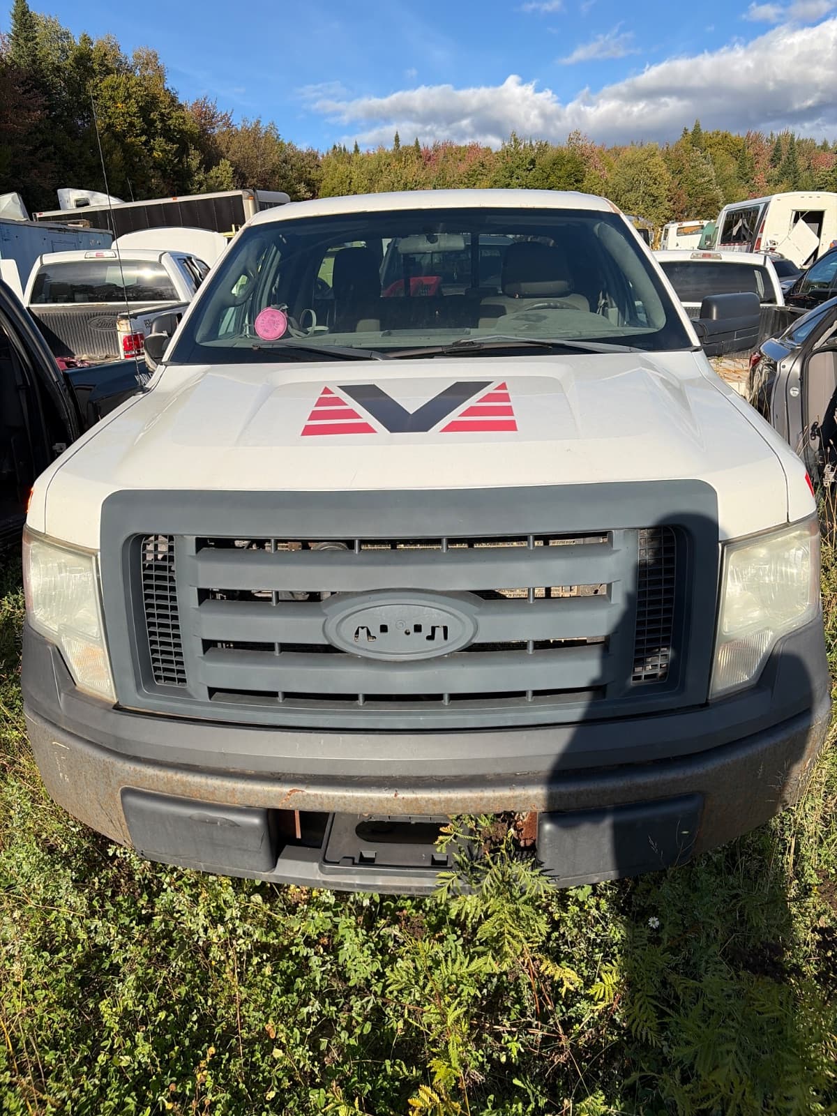 Ford F-150 2010, vue avant