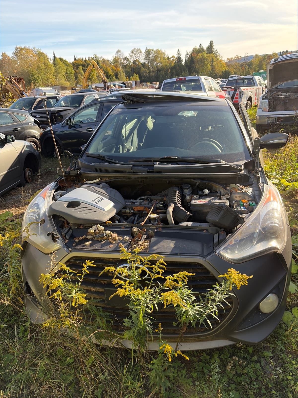 Hyundai Veloster 2013, vue avant