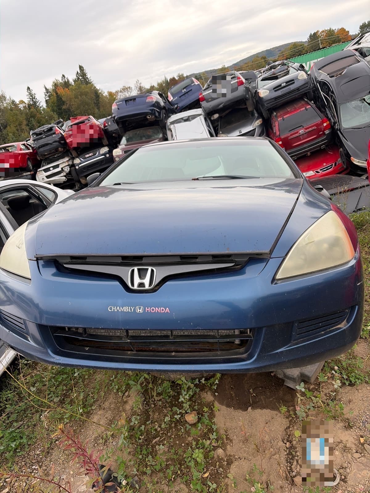 Honda Accord 2003, vue avant