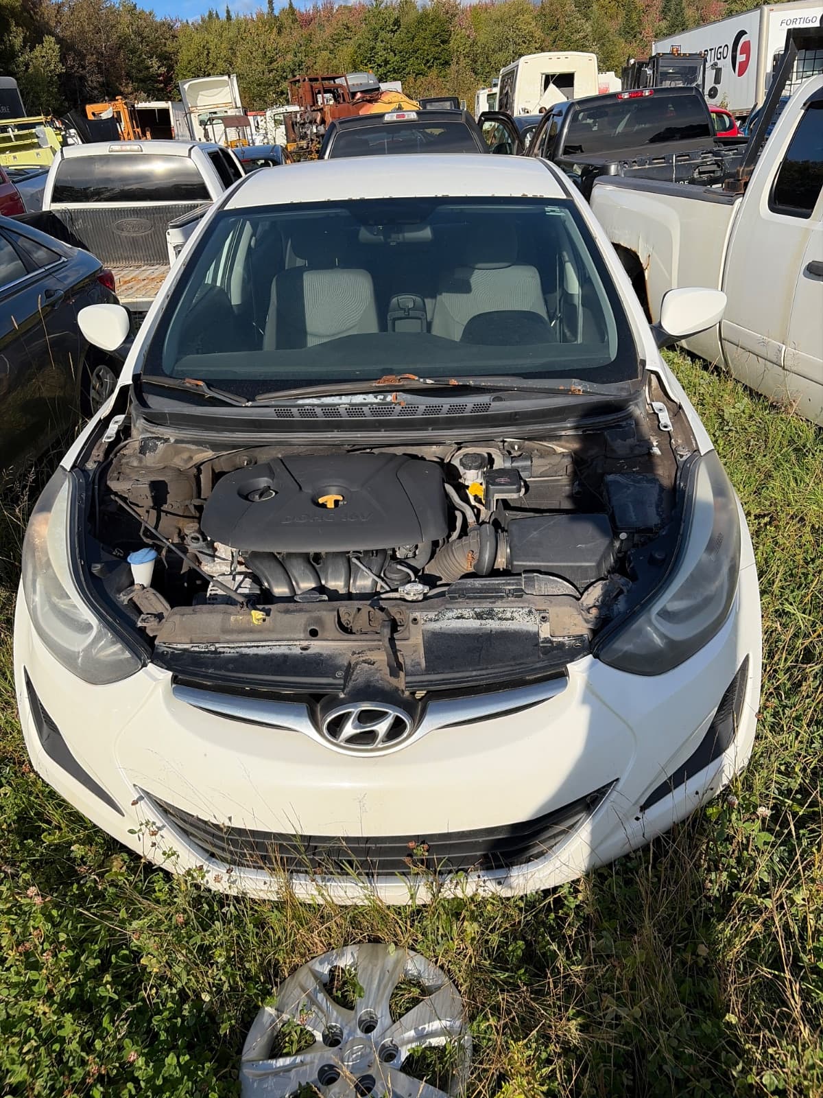 Hyundai Elantra 2014, vue avant